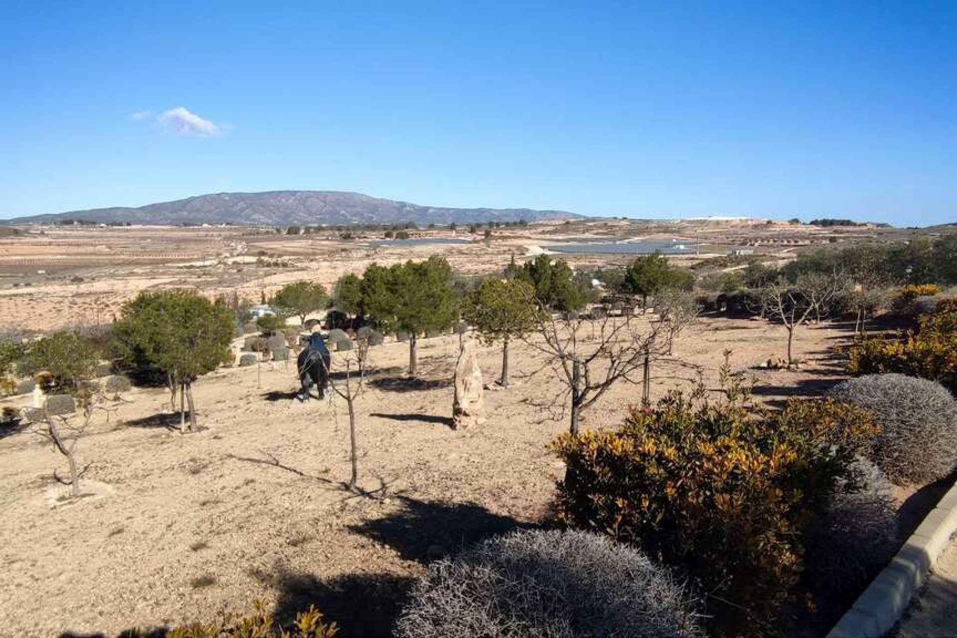 Revente - Villa - Pinoso