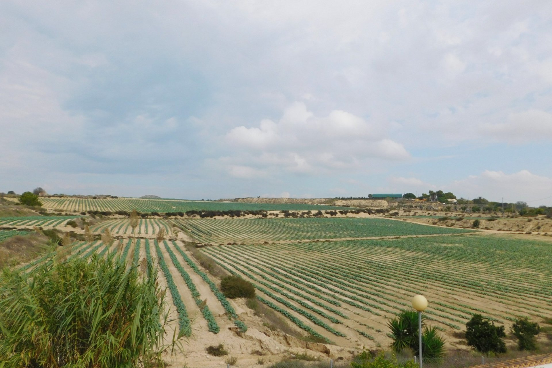 Revente - Villa - San Miguel de Salinas