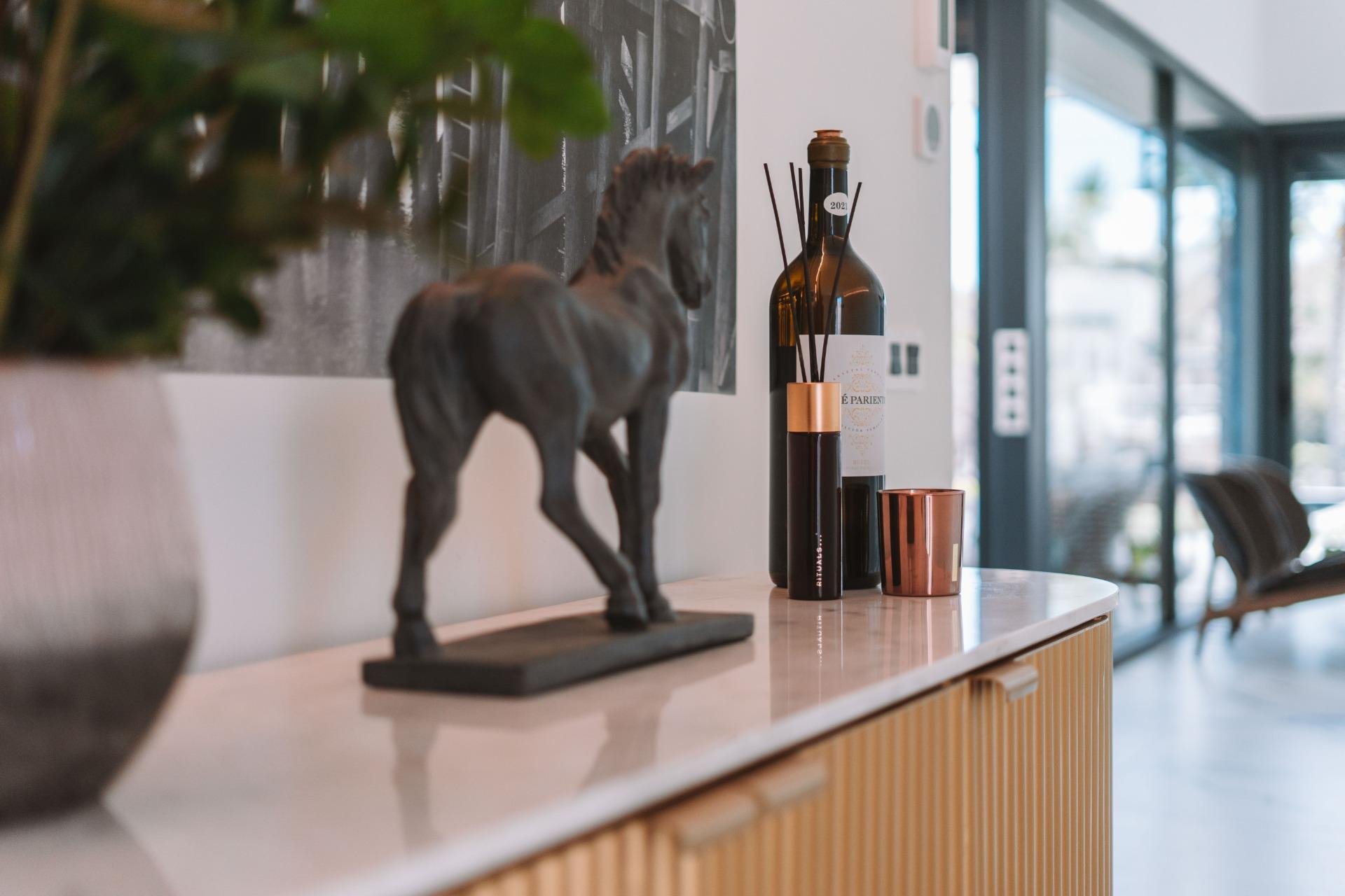 Revente - Villa - San Miguel de Salinas