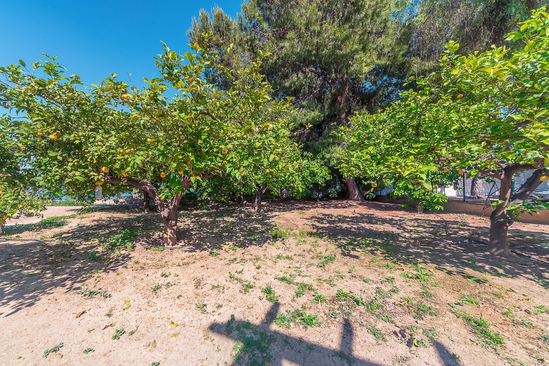 Revente - Villa - San Vicente del Raspeig