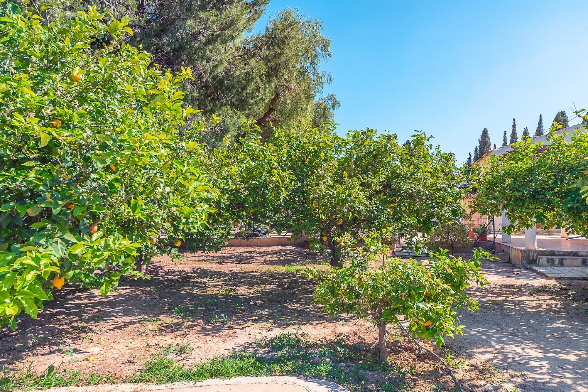 Revente - Villa - San Vicente del Raspeig