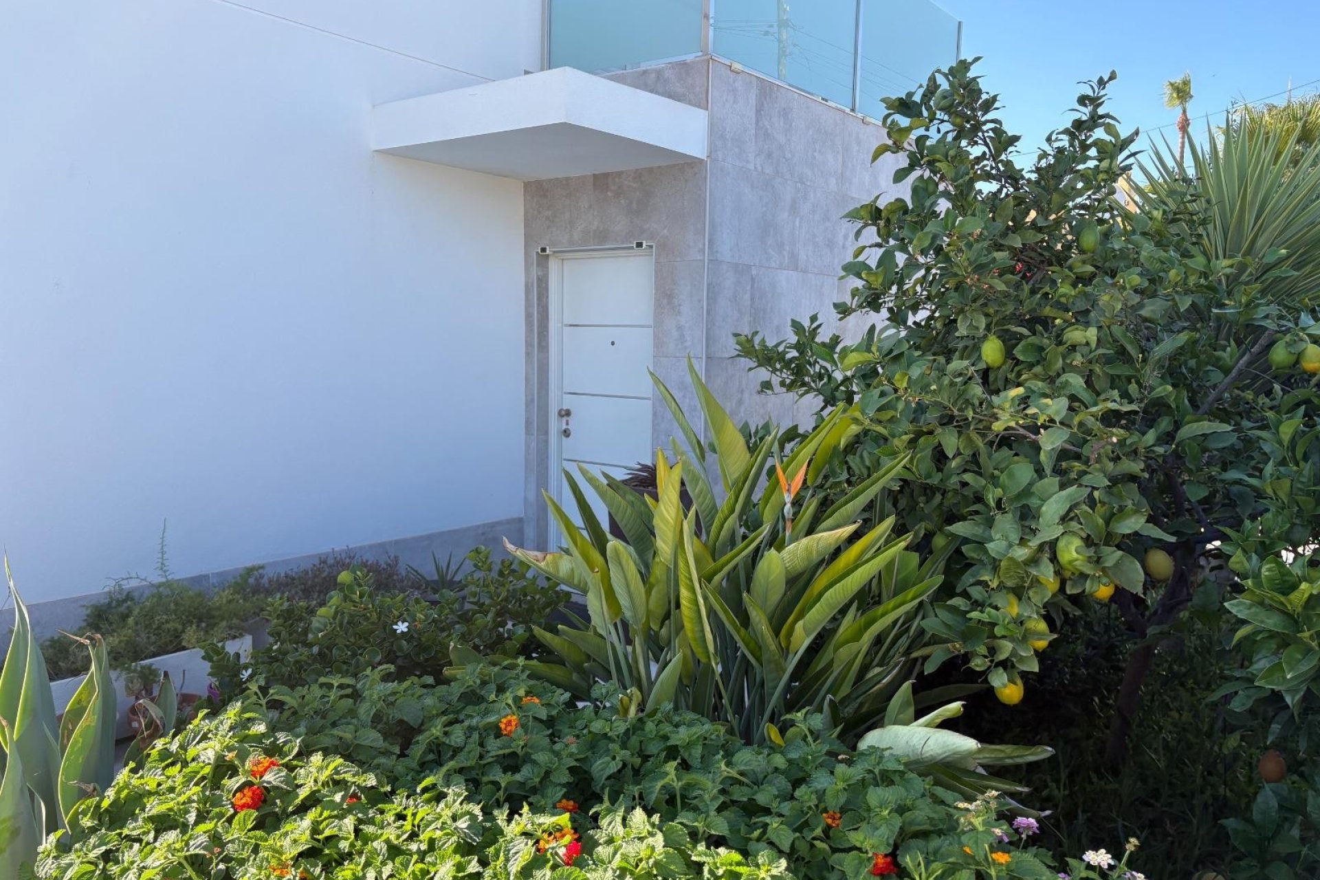 Revente - Villa - Torrevieja - La Siesta