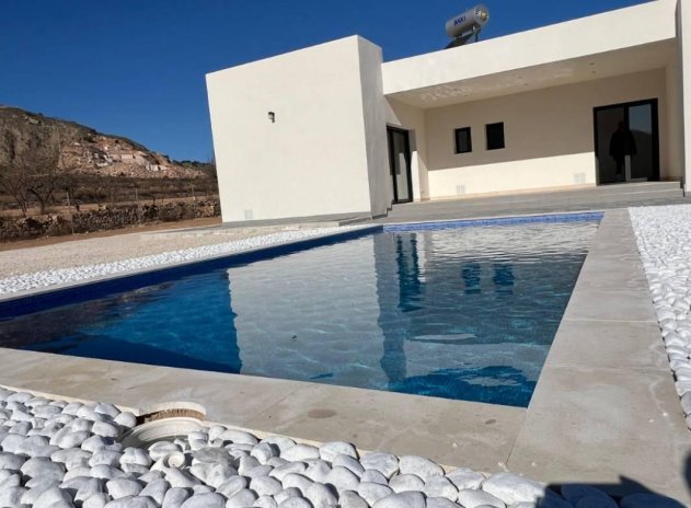 Villa - New Build - Hondón de las Nieves - DSN-54680