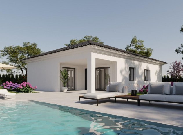 Villa - New Build - Pinoso - DSN-31914