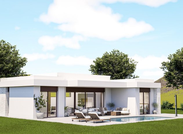 Villa - Nouvelle construction - Pinoso - Pinoso