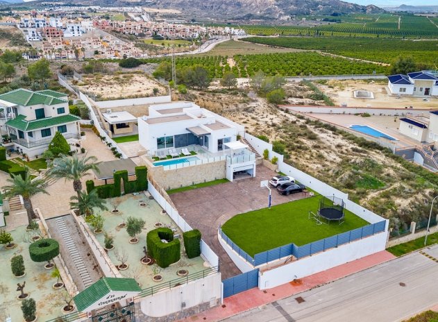Villa - Reventa - Algorfa - DSC-75381