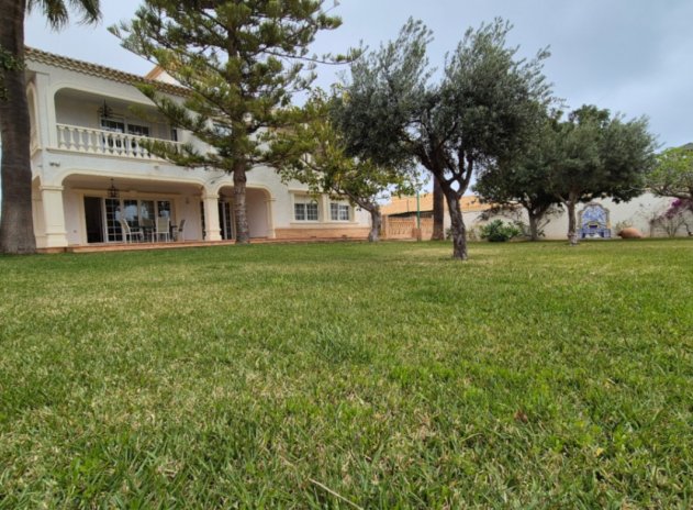 Villa - Revente - Orihuela - DSC-90176