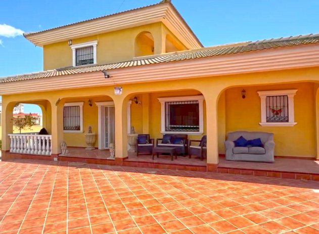 Villa - Wiederverkauf - Torrevieja - DSC-41417