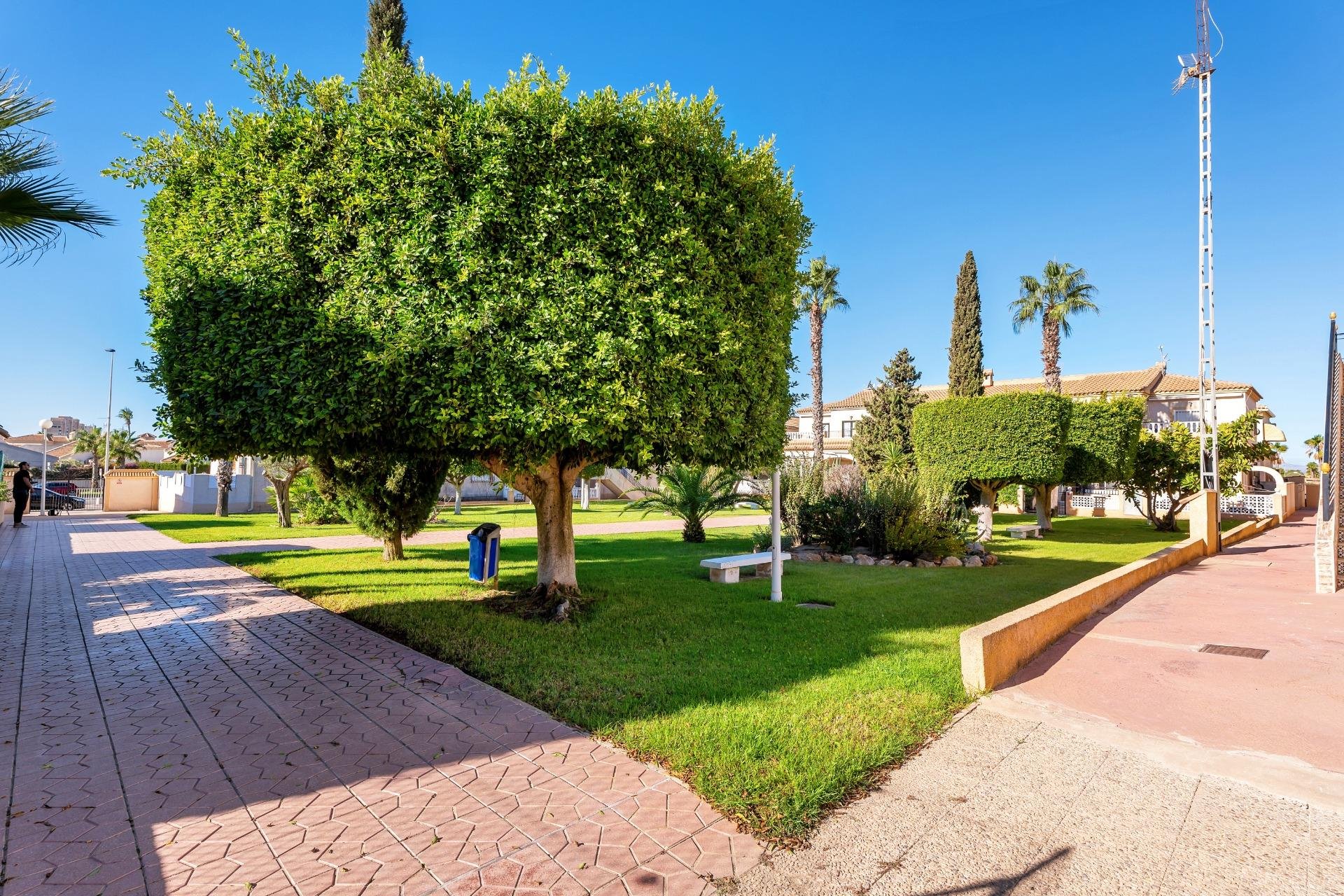 Wiederverkauf - Bungalow - Torrevieja - Aguas Nuevas