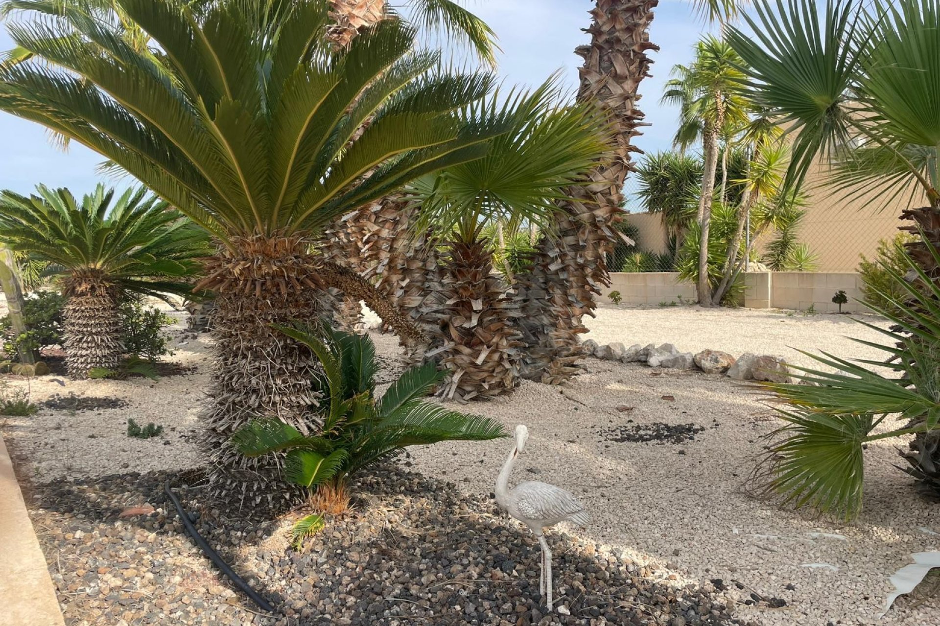 Wiederverkauf - Finca / Ländliches Wohnhaus - Abanilla