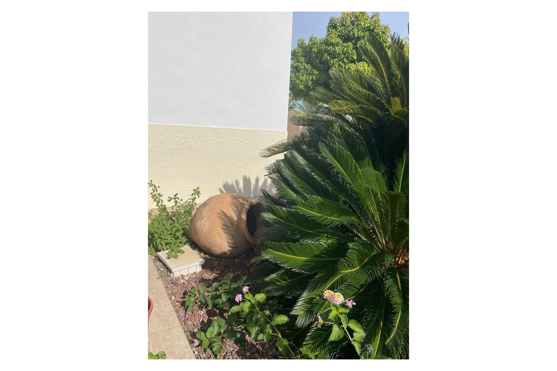 Wiederverkauf - Finca / Ländliches Wohnhaus - Abanilla