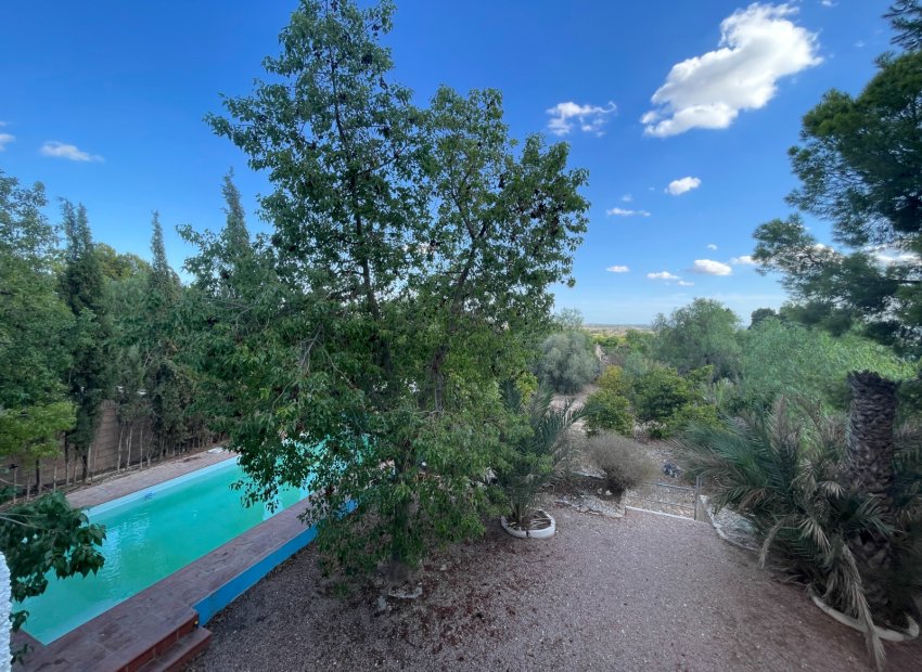 Wiederverkauf - Finca / Ländliches Wohnhaus - Albatera