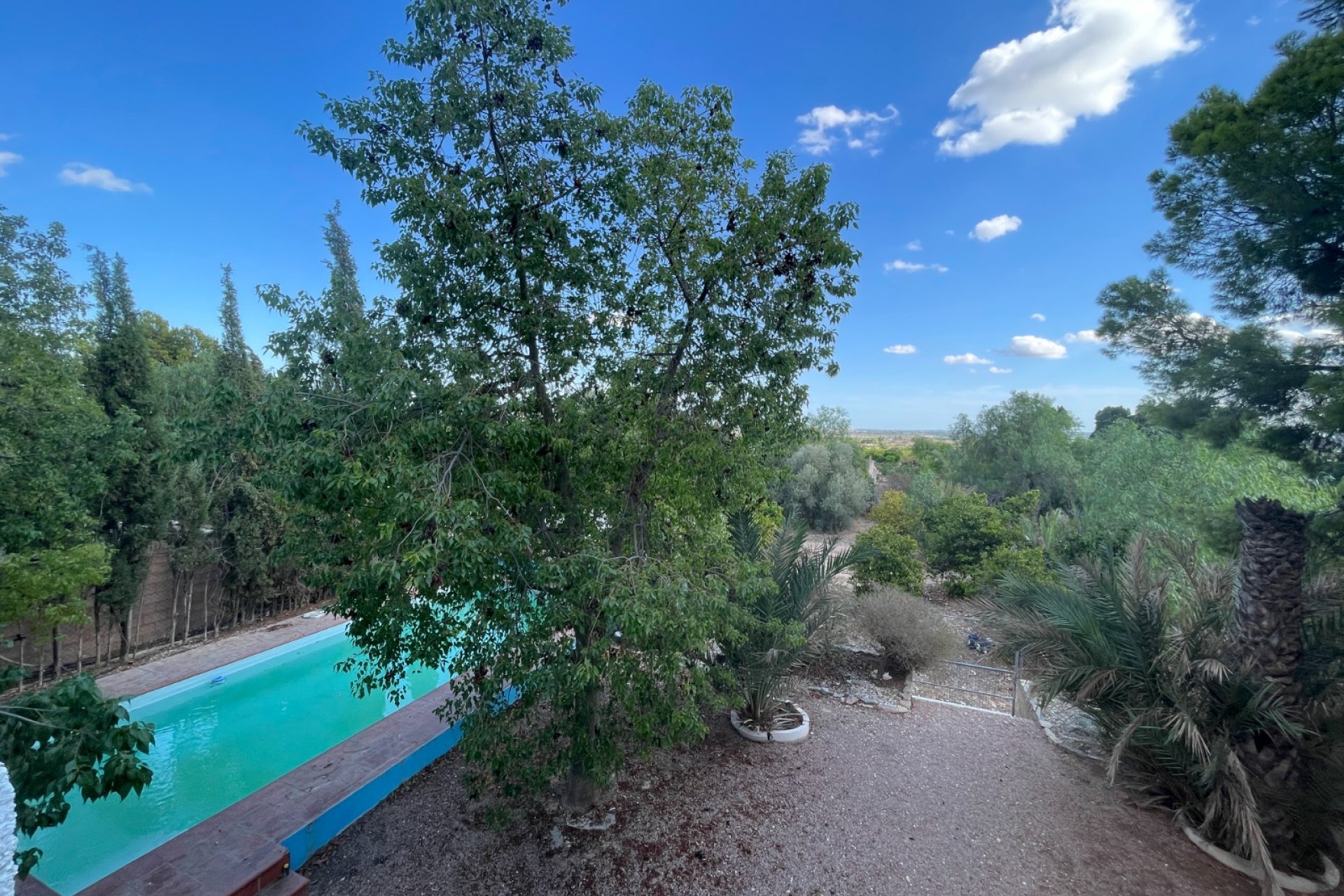 Wiederverkauf - Finca / Ländliches Wohnhaus - Albatera