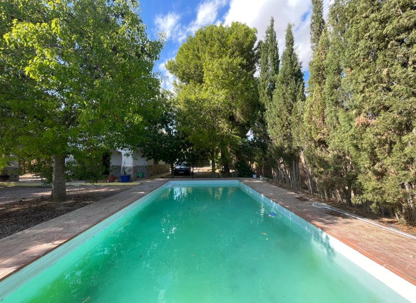 Wiederverkauf - Finca / Ländliches Wohnhaus - Albatera