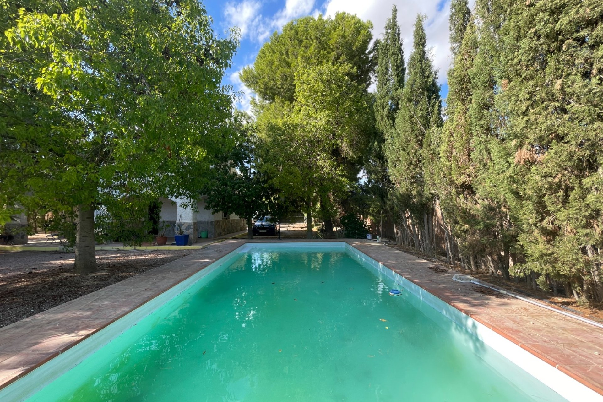 Wiederverkauf - Finca / Ländliches Wohnhaus - Albatera