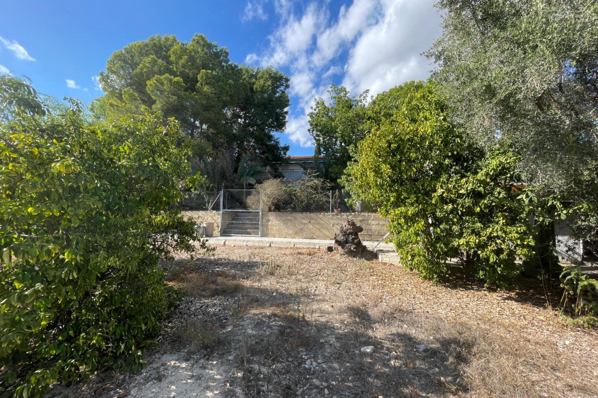 Wiederverkauf - Finca / Ländliches Wohnhaus - Albatera