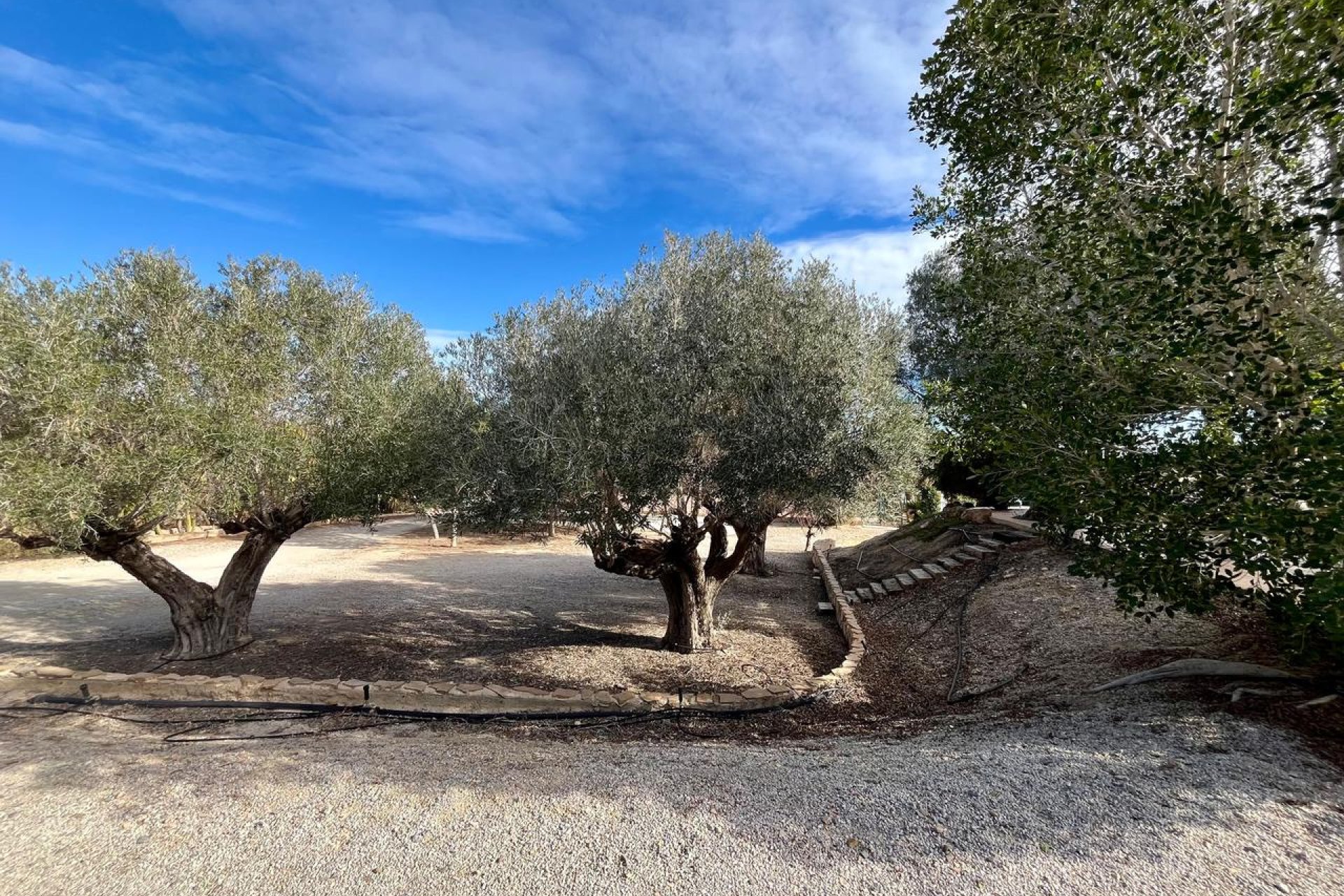 Wiederverkauf - Finca / Ländliches Wohnhaus - El Esparragal