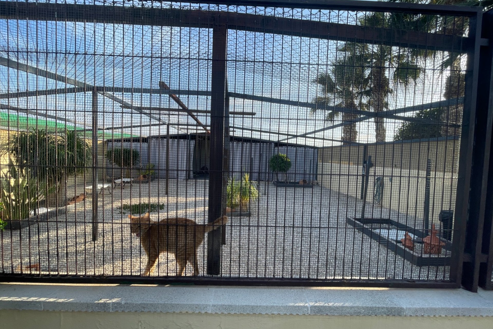 Wiederverkauf - Finca / Ländliches Wohnhaus - Elche - Las Bayas