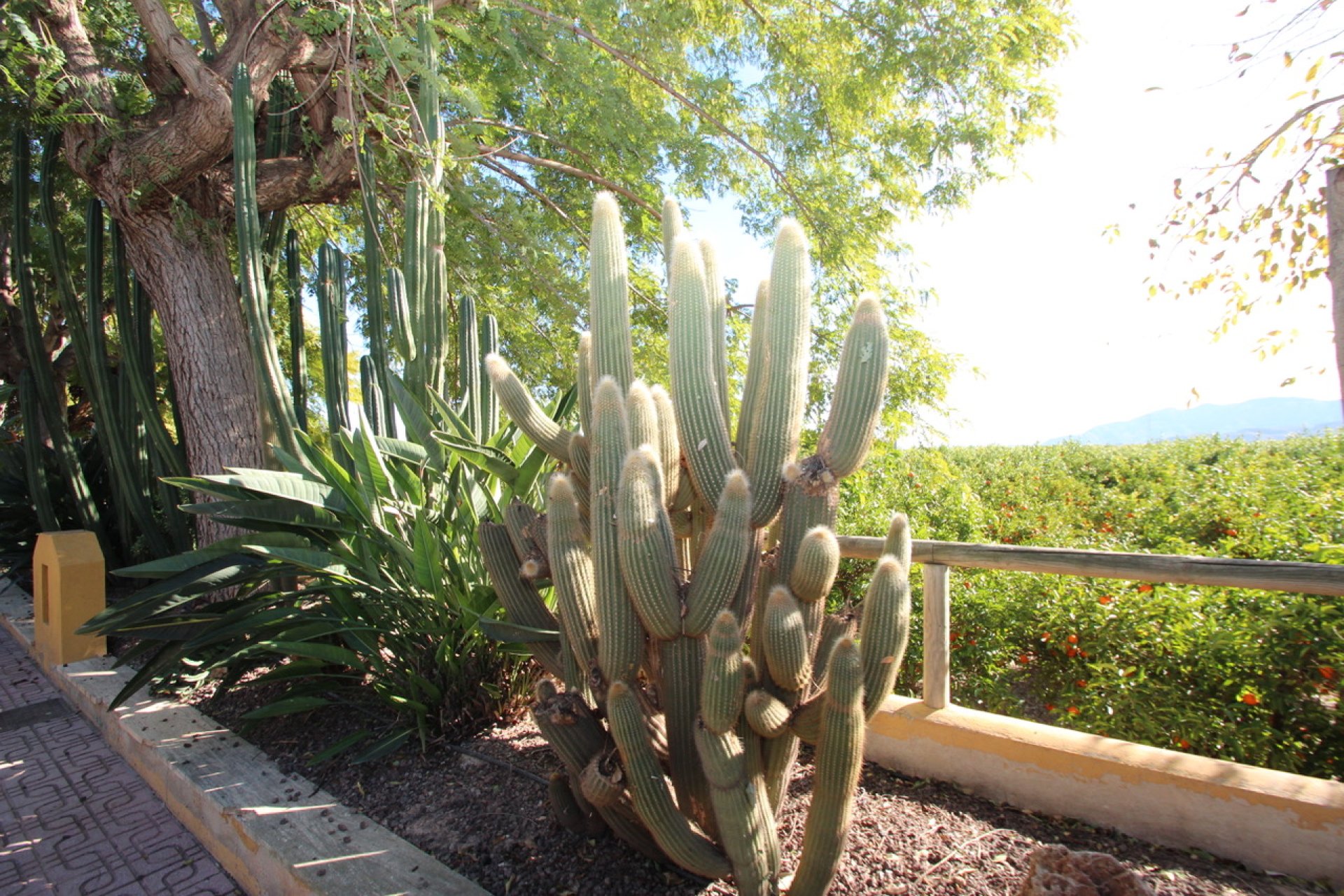 Wiederverkauf - Finca / Ländliches Wohnhaus - Murcia