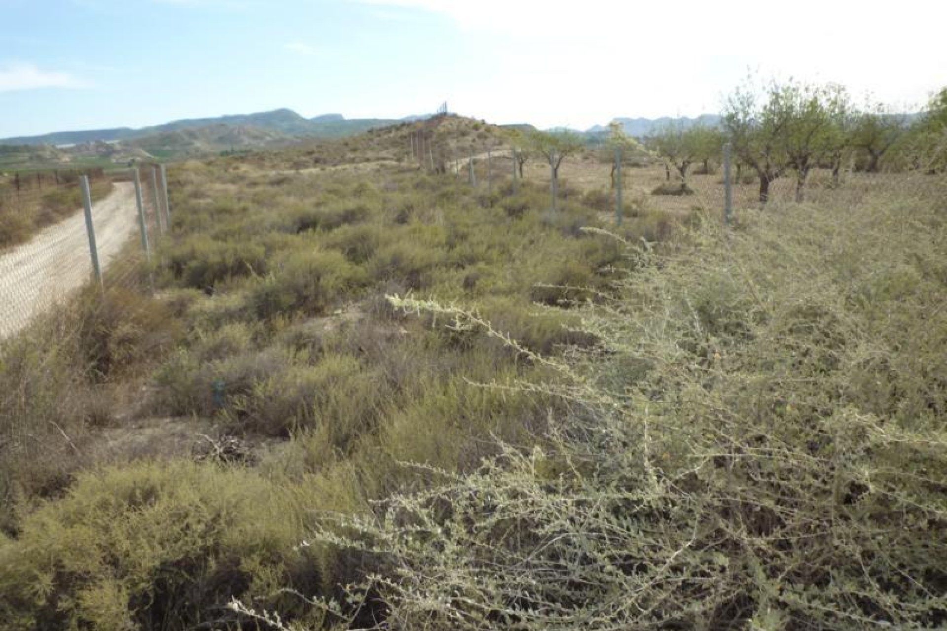 Wiederverkauf - Finca / Ländliches Wohnhaus - Orihuela - Desamparados-Hurchillo-Torremendo