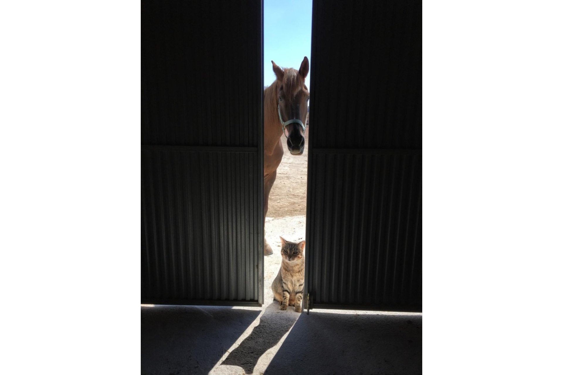 Wiederverkauf - Finca / Ländliches Wohnhaus - Torre Del Rico - Torre del Rico