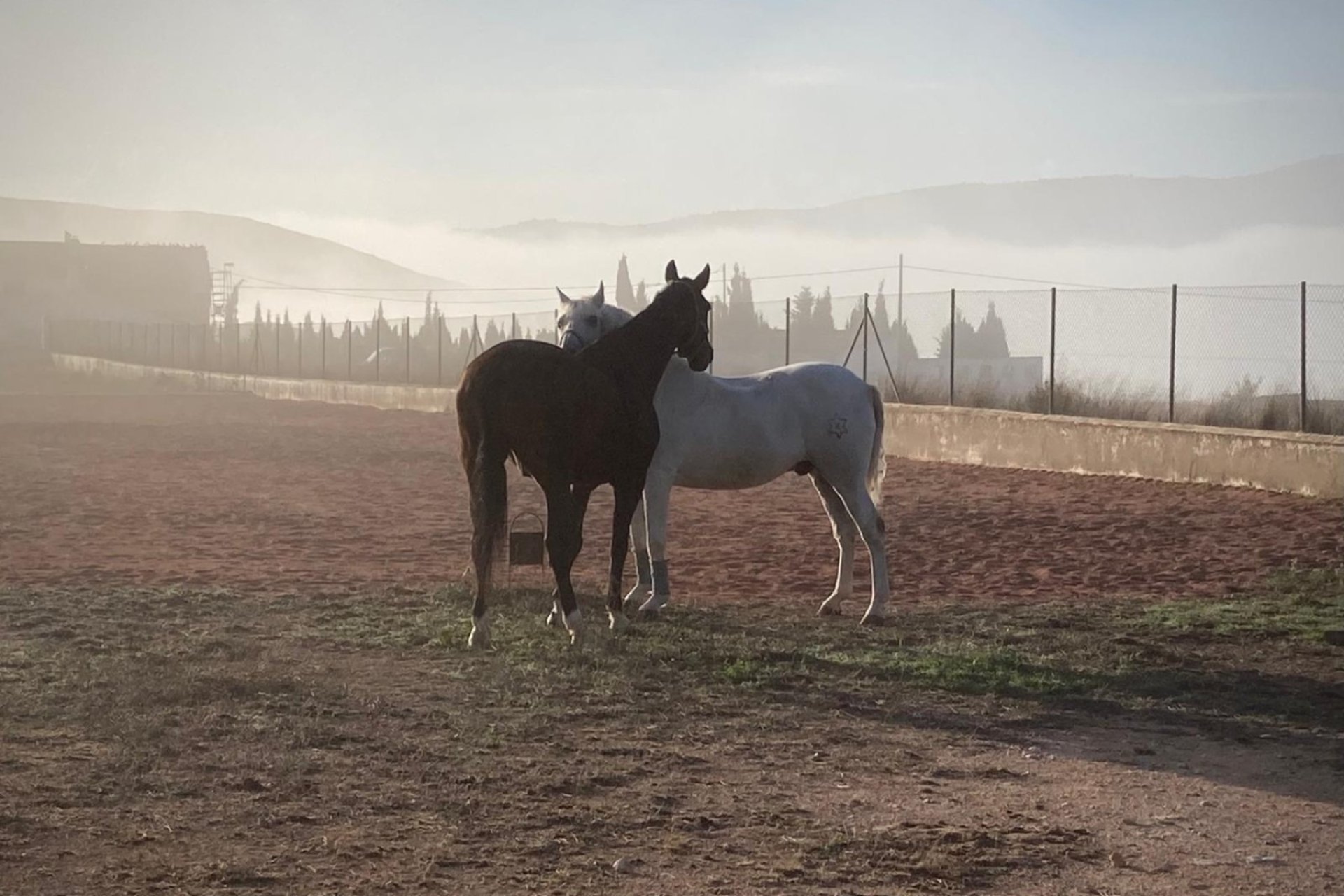 Wiederverkauf - Finca / Ländliches Wohnhaus - Torre Del Rico - Torre del Rico