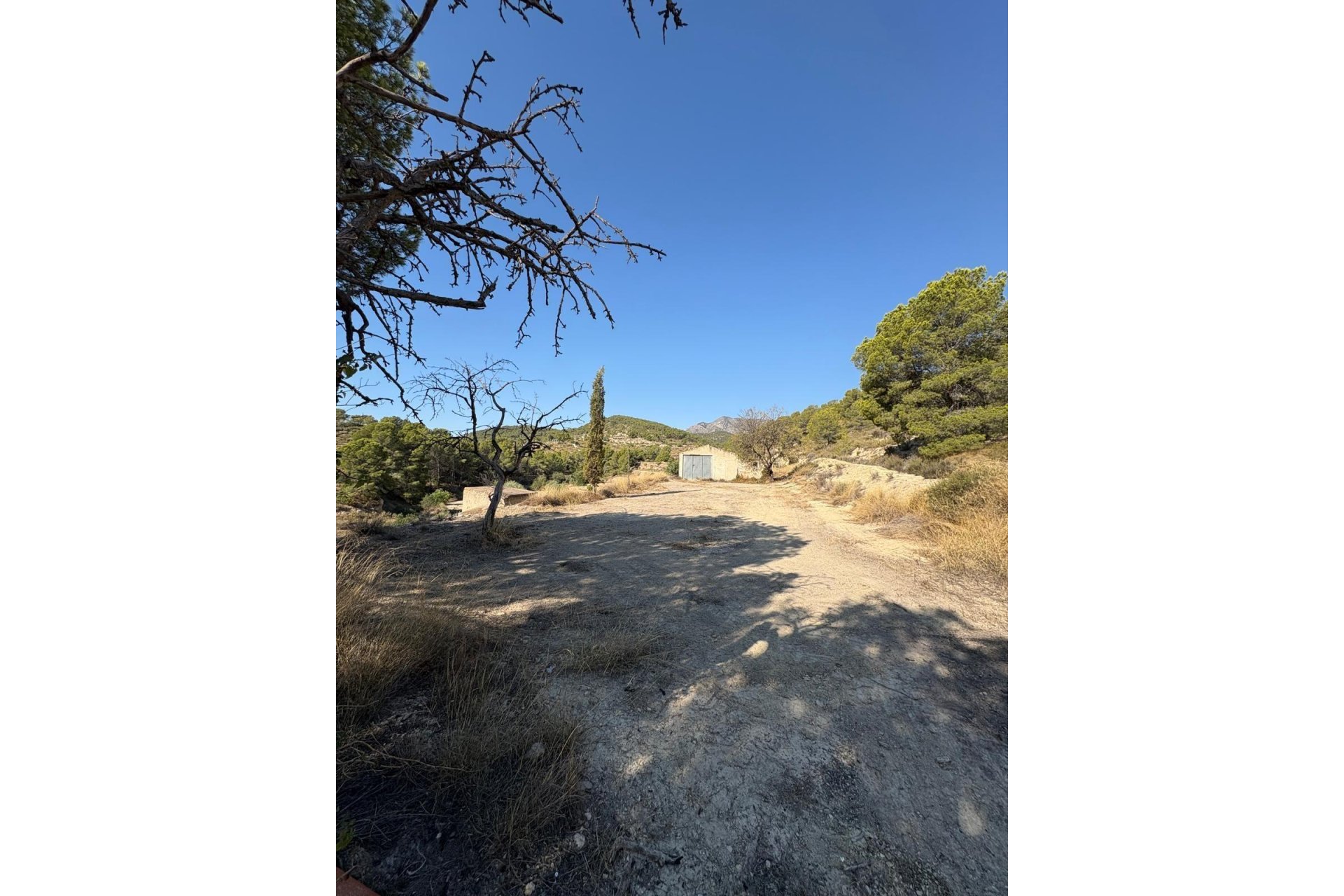 Wiederverkauf - Finca / Ländliches Wohnhaus - Villajoyosa - El Secanet - Hacienda del Sol