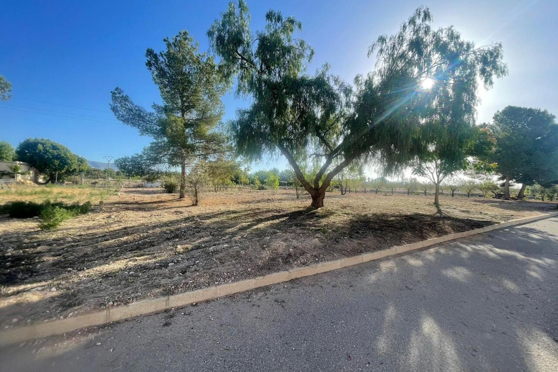 Wiederverkauf - Grundstück - Pinoso