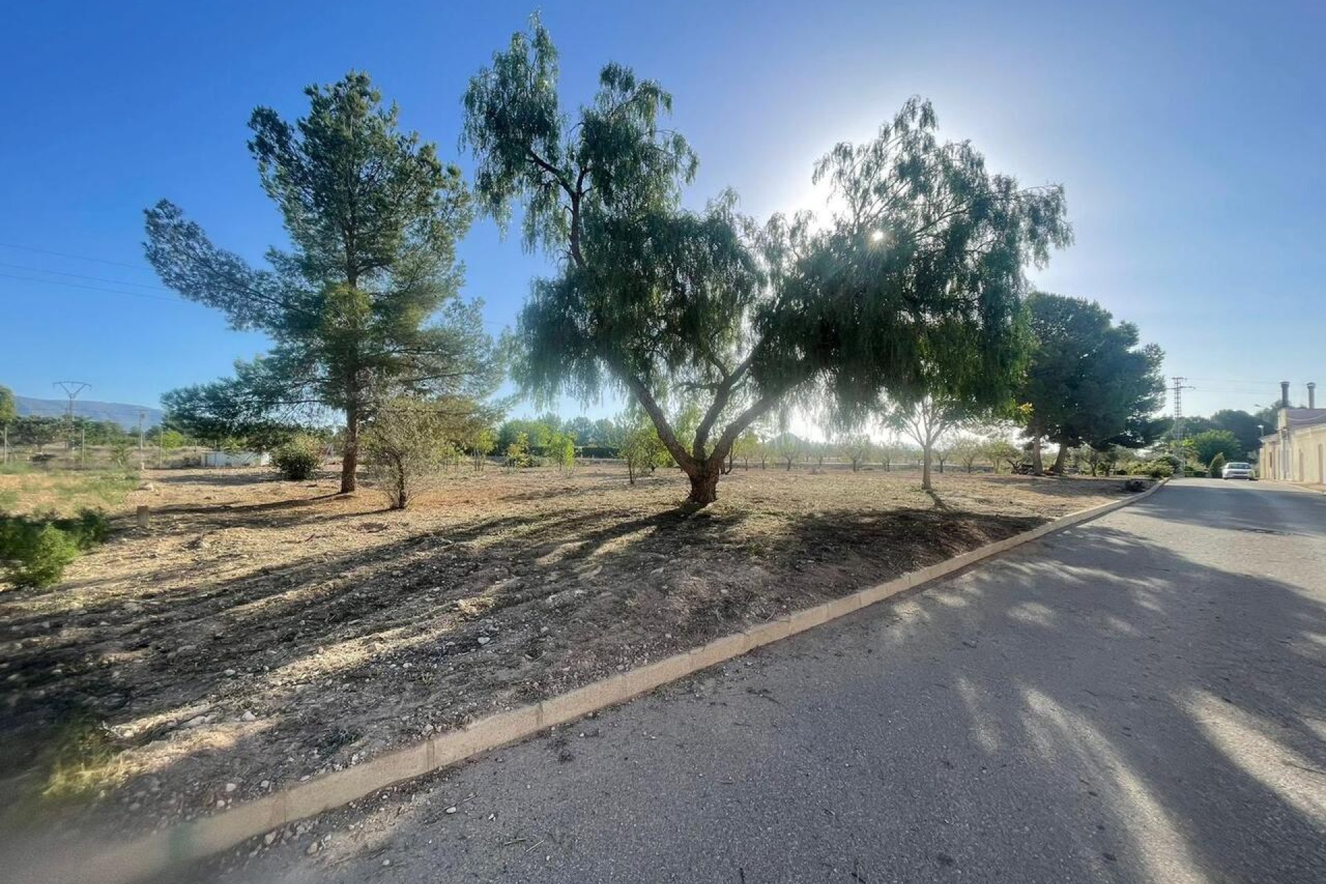 Wiederverkauf - Grundstück - Pinoso