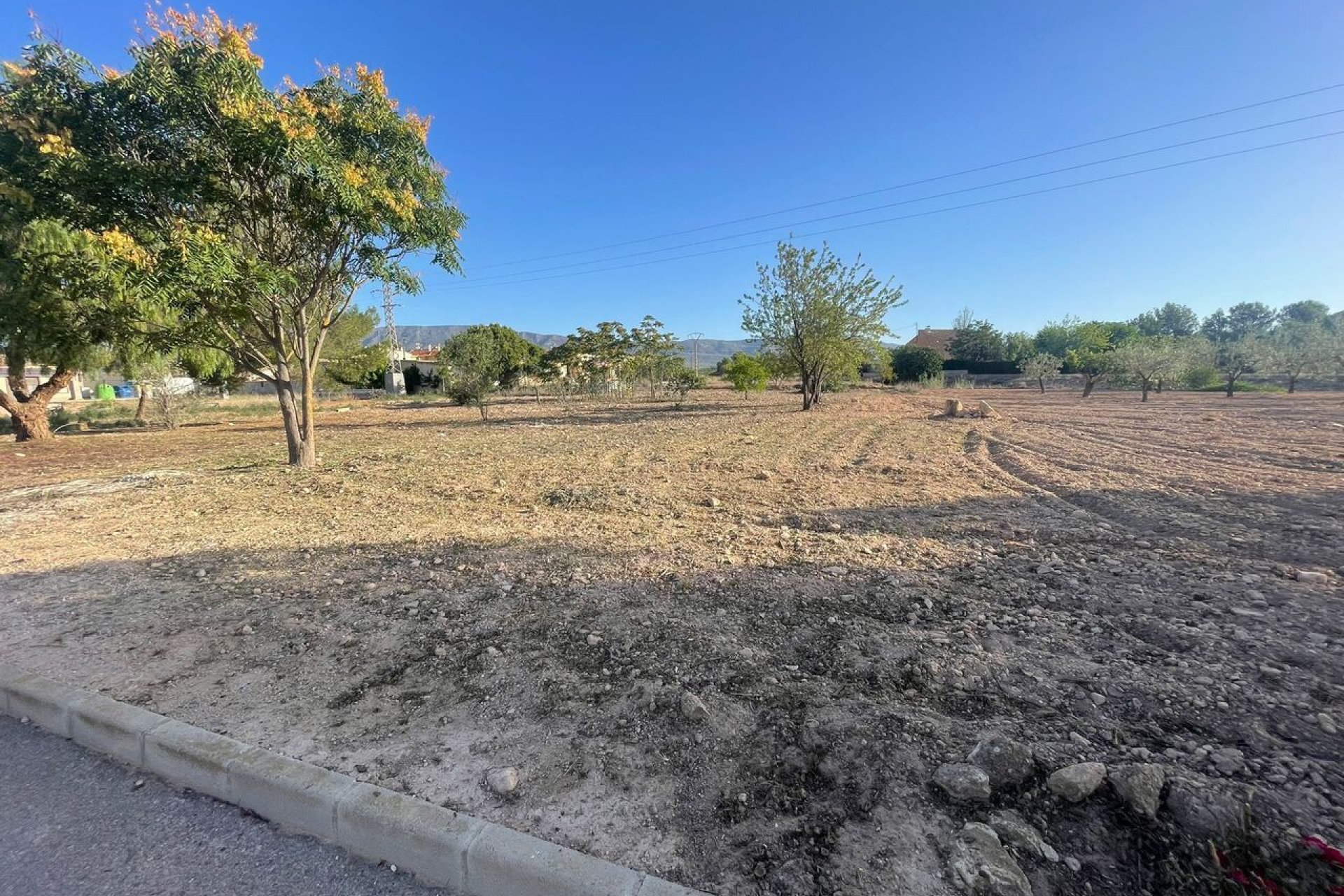 Wiederverkauf - Grundstück - Pinoso