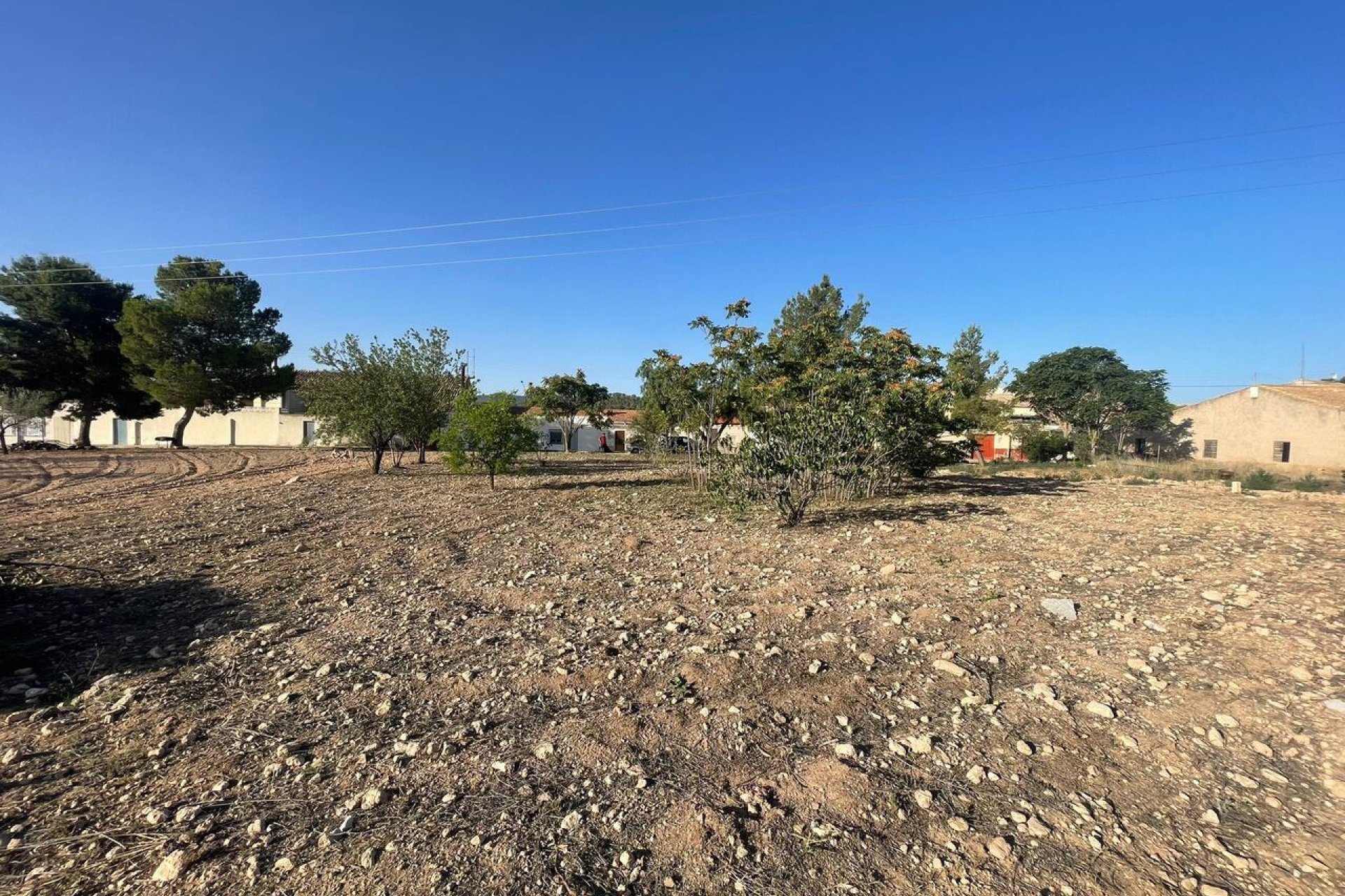 Wiederverkauf - Grundstück - Pinoso