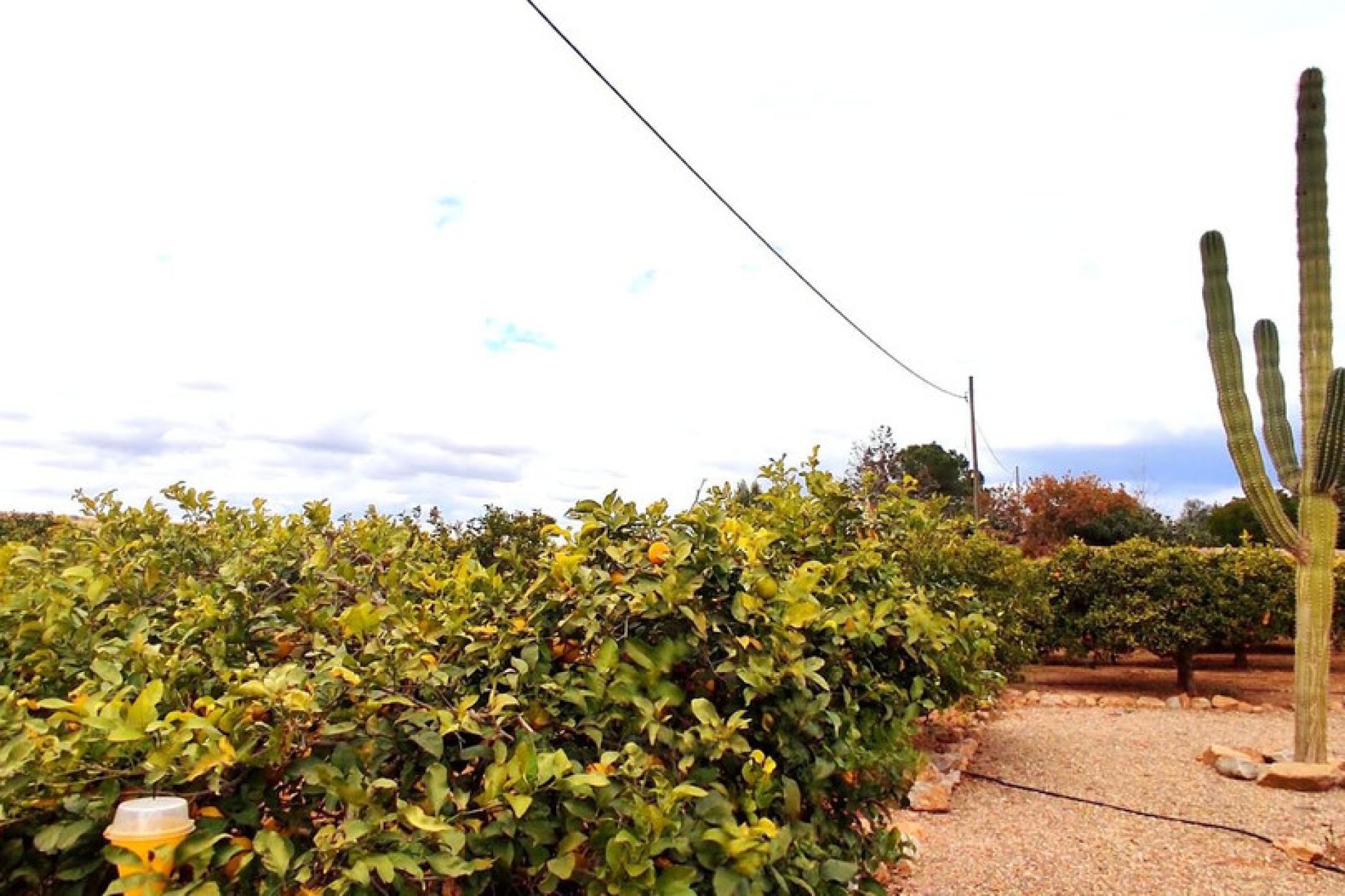 Wiederverkauf - House - Finca - Cortijo - San Javier - Costa Calida