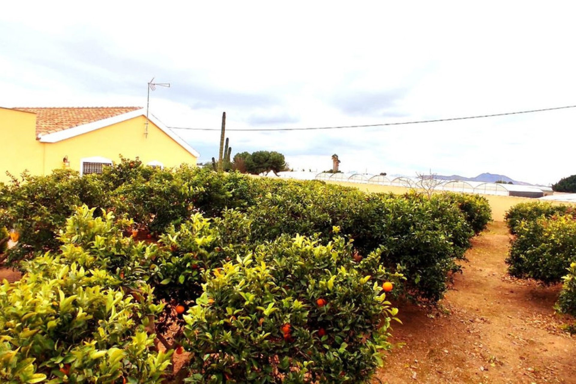 Wiederverkauf - House - Finca - Cortijo - San Javier - Costa Calida