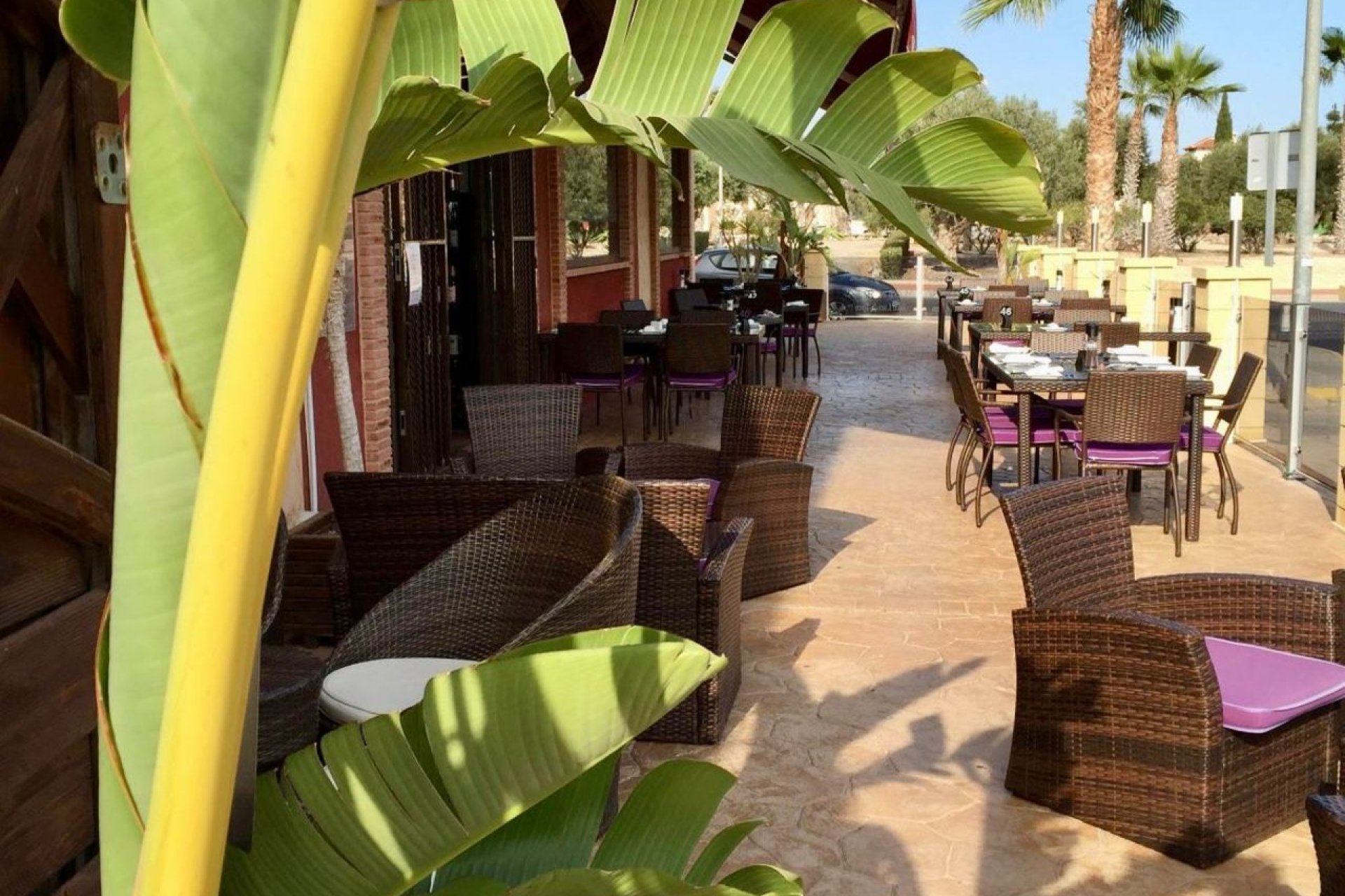 Wiederverkauf - Kommerziell - Guardamar del Segura