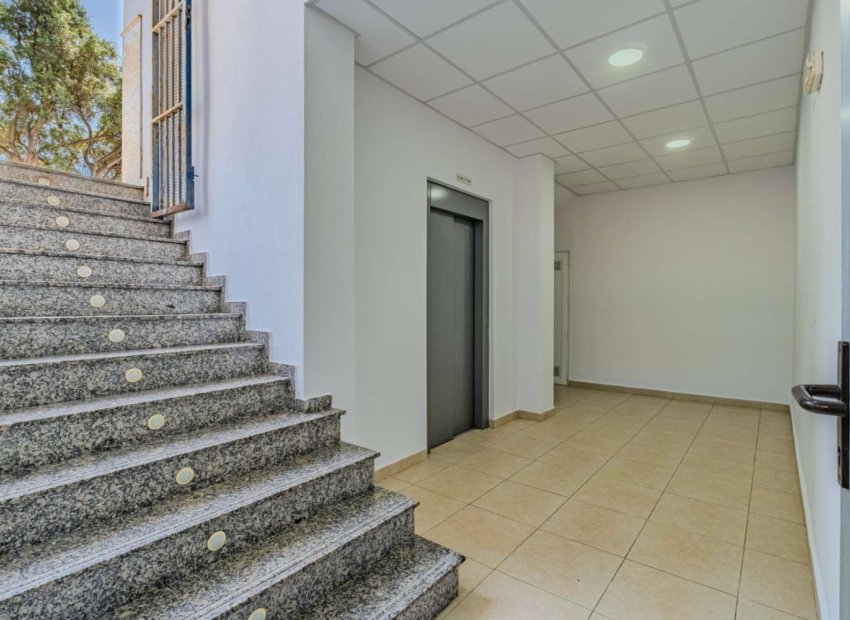 Wiederverkauf - Kommerziell - Torrevieja - Nueva Torrevieja - Aguas Nuevas