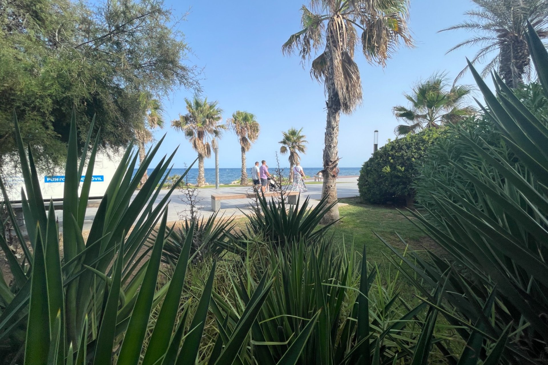 Wiederverkauf - Kommerziell - Torrevieja