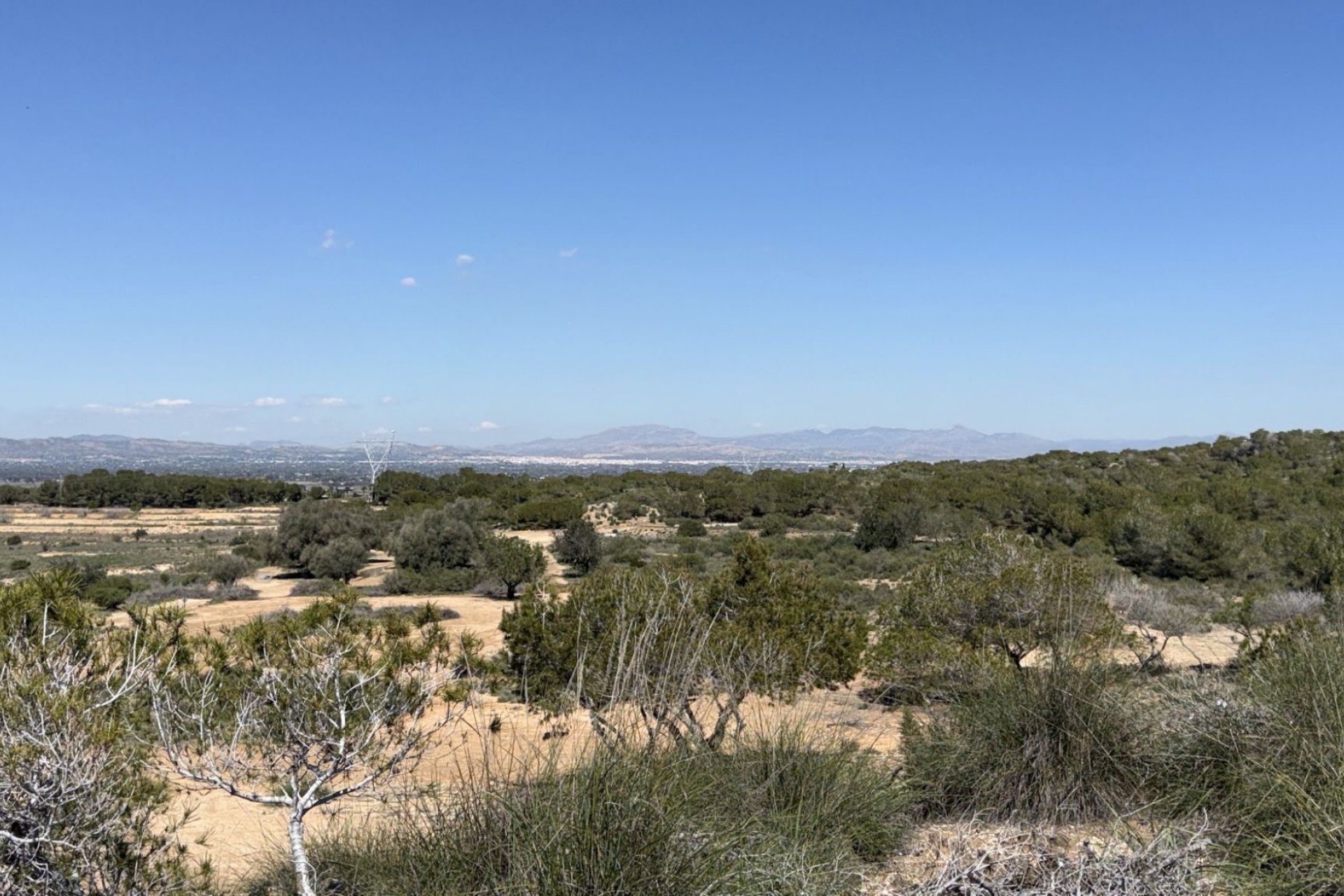 Wiederverkauf - Land and Plots - San Fulgencio - La Marina