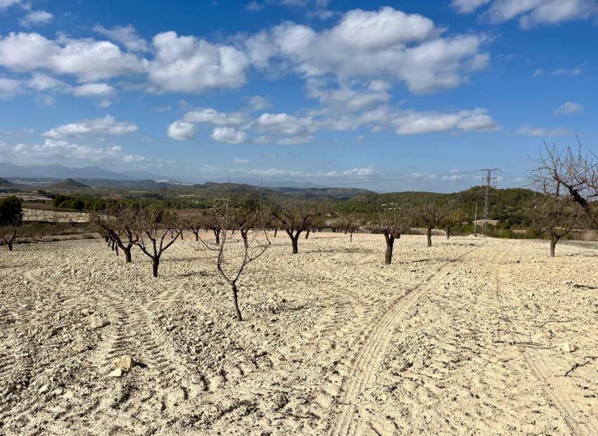 Wiederverkauf - Plot - Bullas - Costa Calida