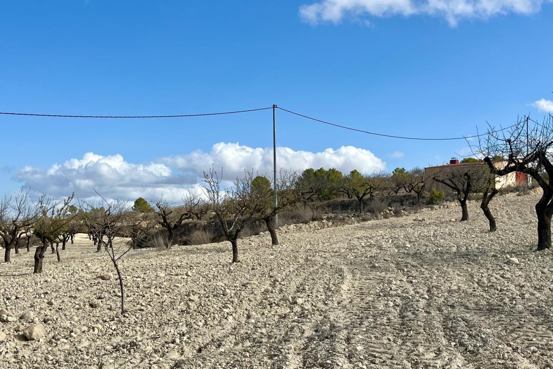 Wiederverkauf - Plot - Bullas - Costa Calida