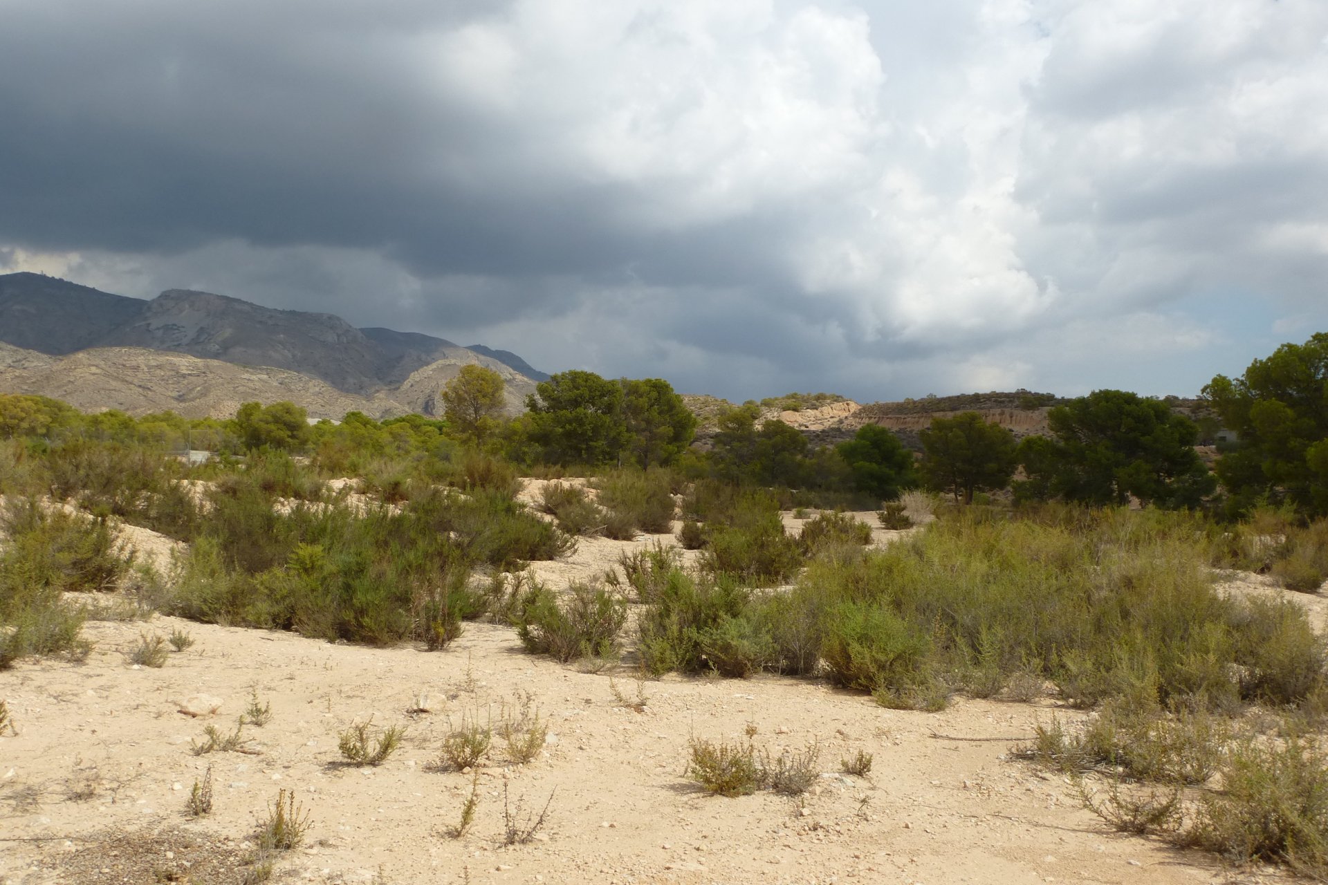 Wiederverkauf - Plot - Crevillente - Crevillente - Country