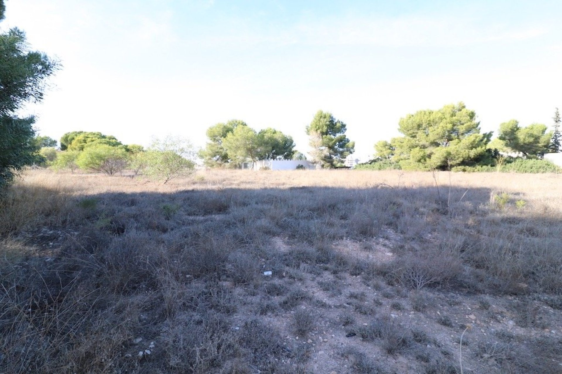 Wiederverkauf - Plot - Orihuela Costa - Lomas de Cabo Roig