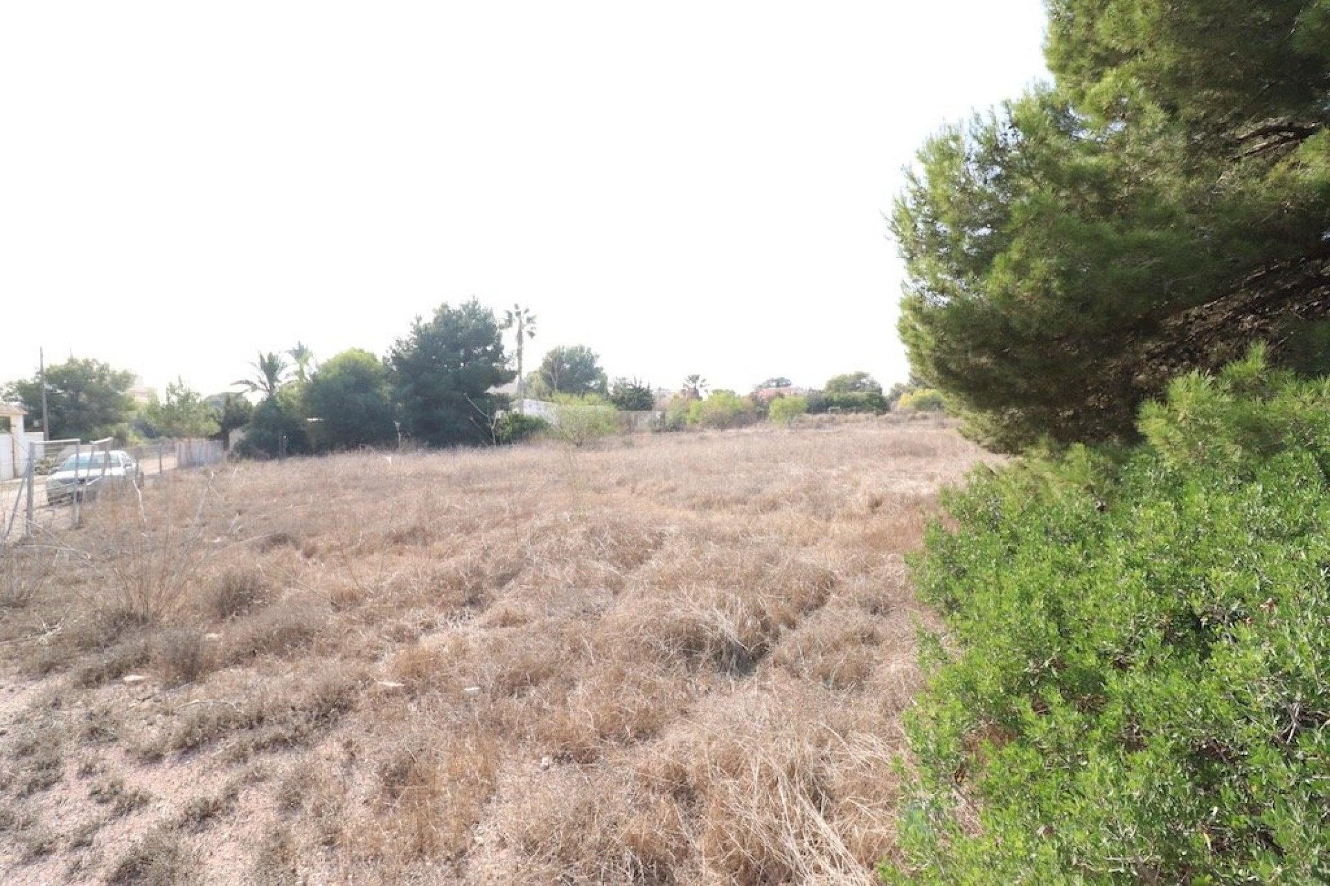 Wiederverkauf - Plot - Orihuela Costa - Lomas de Cabo Roig