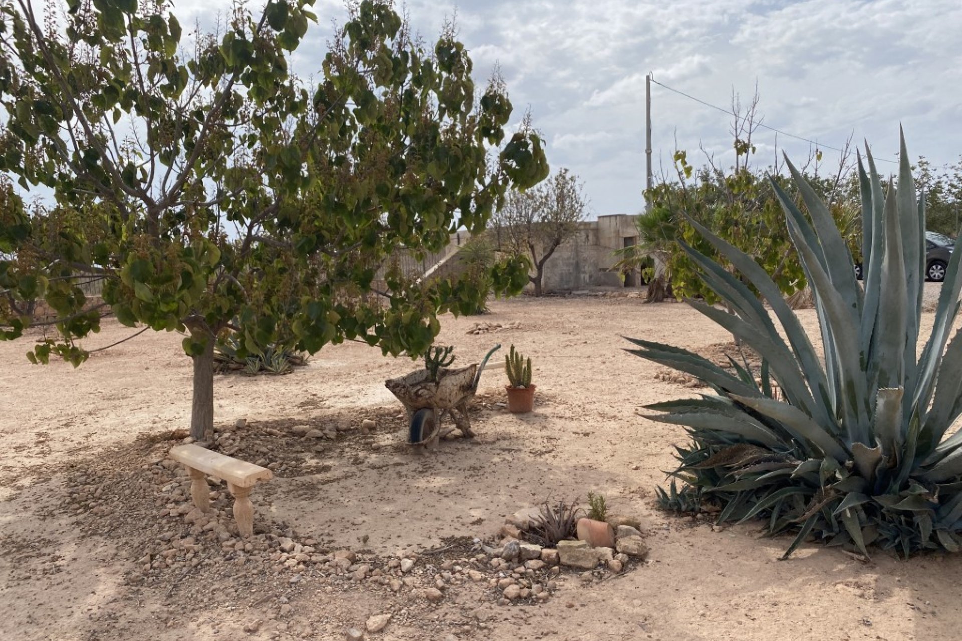 Wiederverkauf - Terrassenhaus - Fuente Álamo - Fuente Alamo
