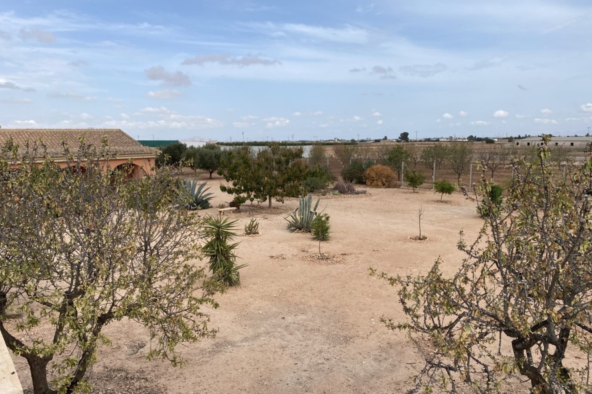 Wiederverkauf - Terrassenhaus - Fuente Álamo - Fuente Alamo