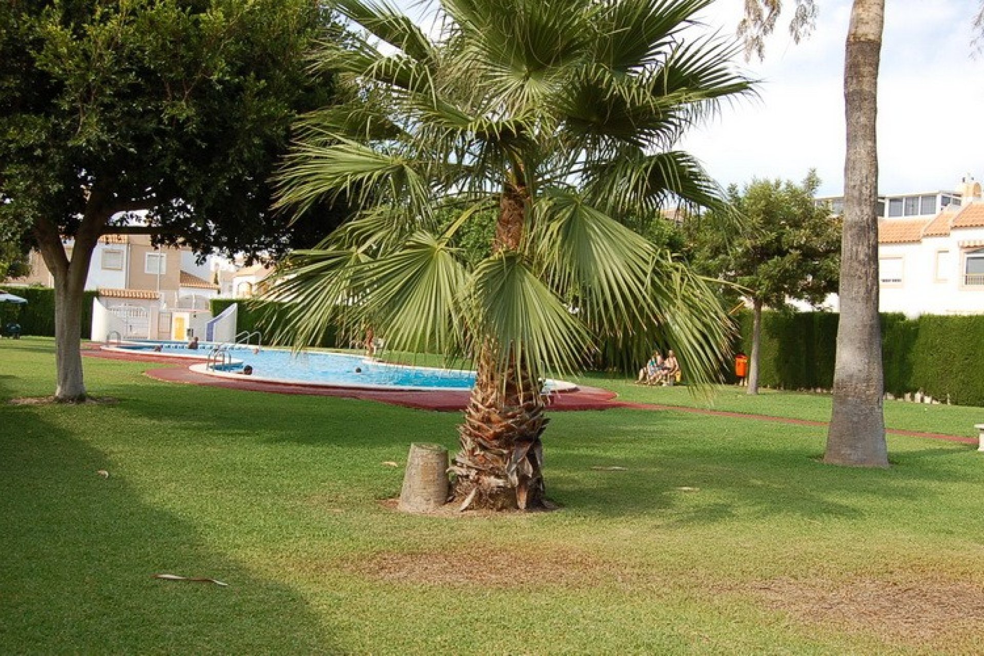 Wiederverkauf - Terrassenhaus - Torrevieja - El Limonar