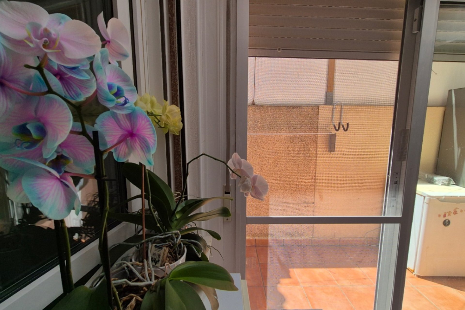 Wiederverkauf - Terrassenhaus - Torrevieja