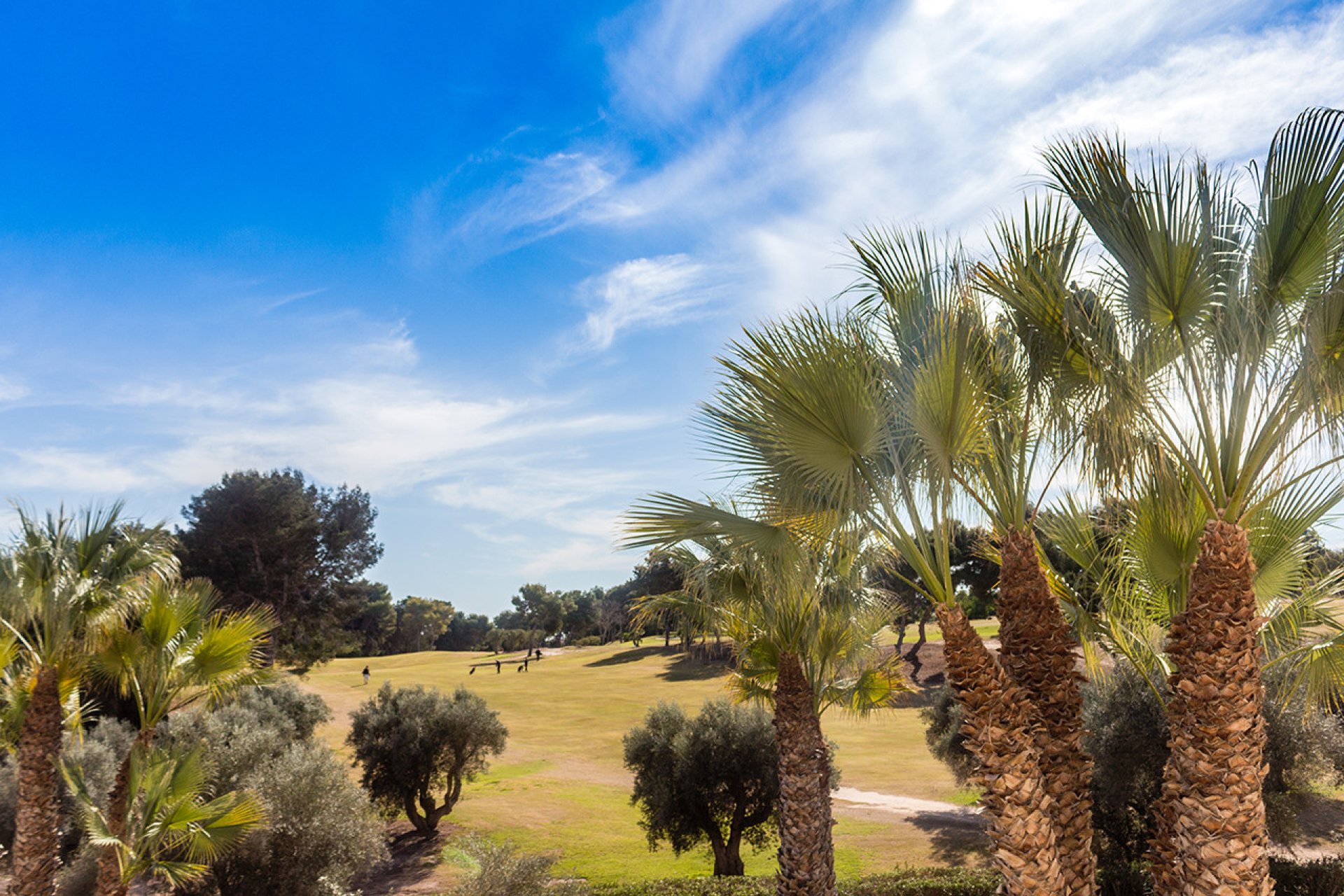 Wiederverkauf - Town House - Cabo Roig