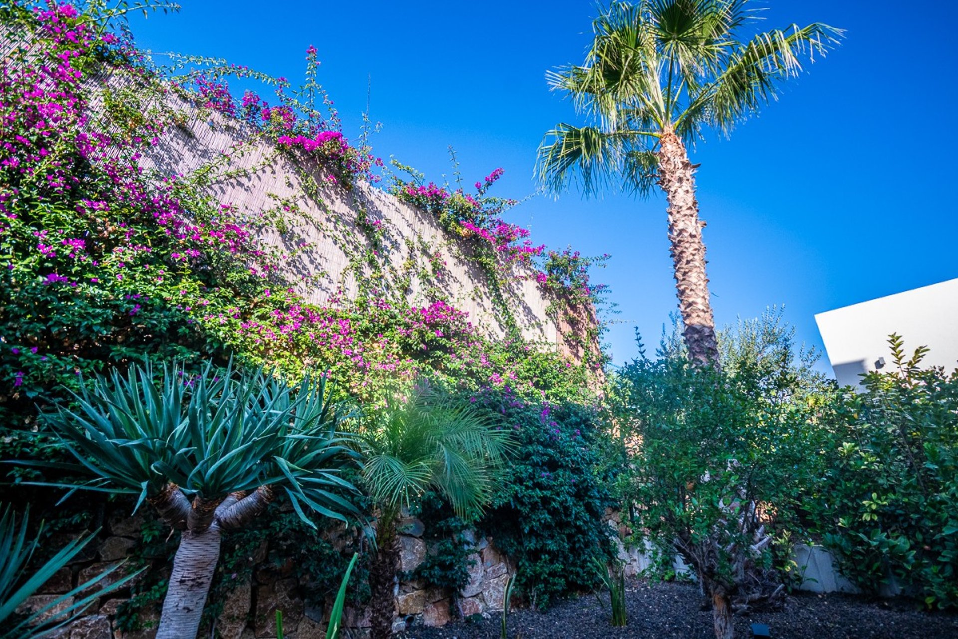 Wiederverkauf - Villa - Algorfa - La Finca Golf