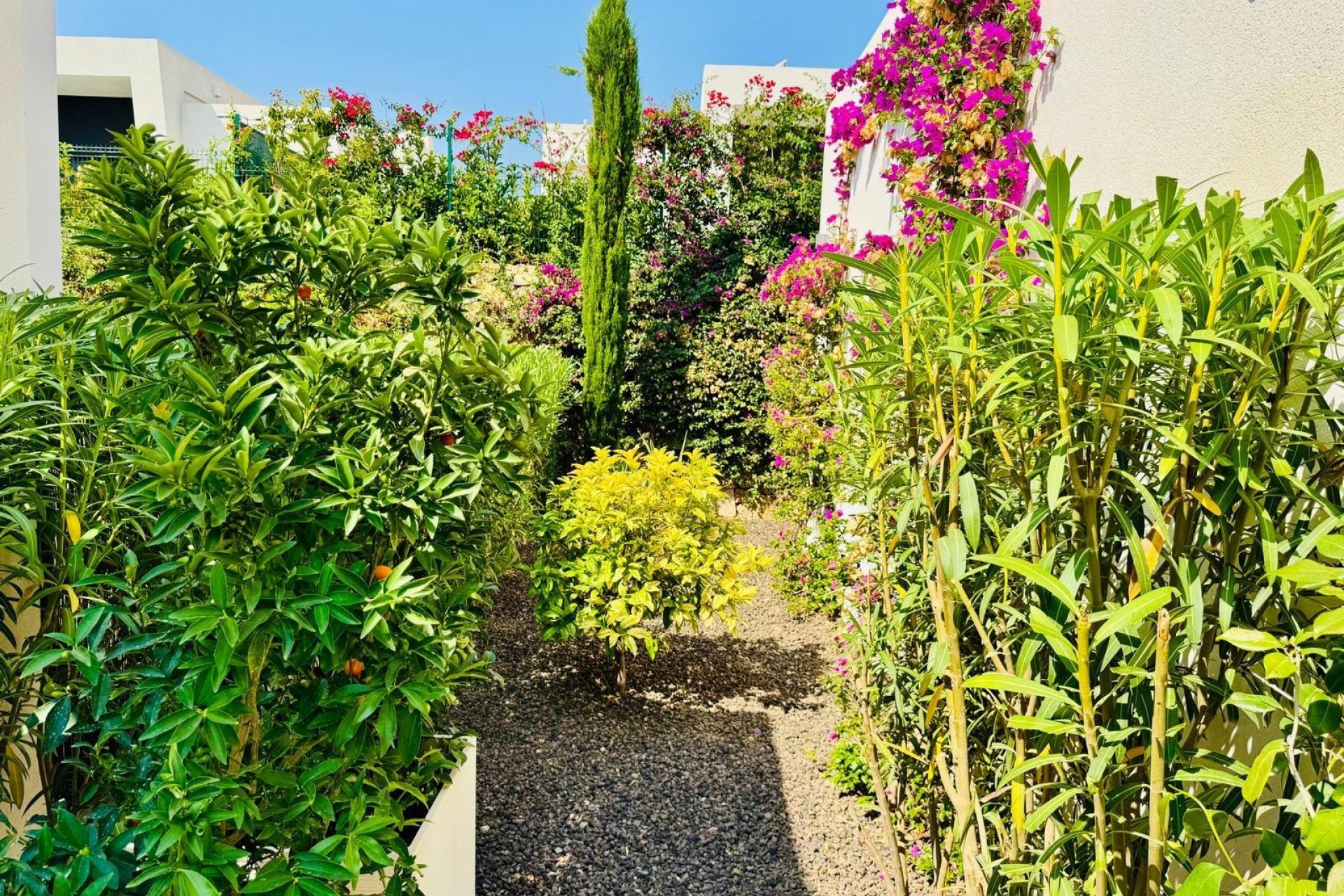 Wiederverkauf - Villa - Algorfa - La Finca Golf