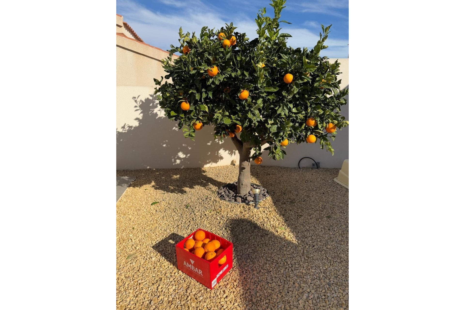 Wiederverkauf - Villa - Ciudad Quesada